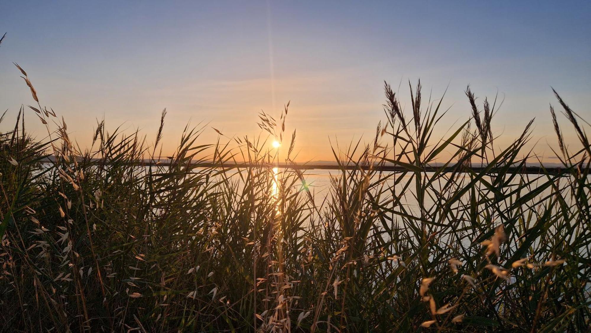 Апартаменты Sable & Pampas - Meuble De Tourisme 5 Etoiles Карнон-Плаж Экстерьер фото