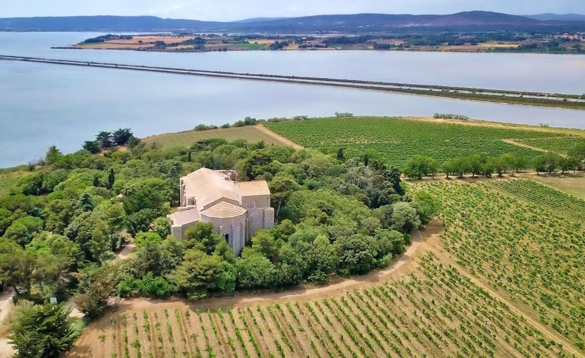 Апартаменты Sable & Pampas - Meuble De Tourisme 5 Etoiles Карнон-Плаж Экстерьер фото